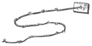 Библиотека географа