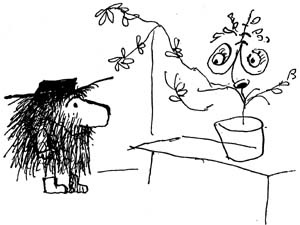 Страшный господин Ау Страшный господин Ау