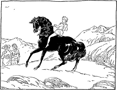 Сын Зевса Сын Зевса