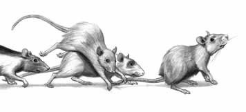 Дневник профессора Гаргульи Дневник профессора Гаргульи