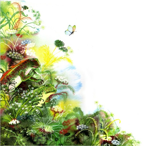 Лягушачий замок Лягушачий замок