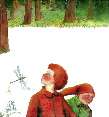 Лягушачий замок Лягушачий замок