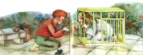 Лягушачий замок Лягушачий замок