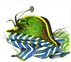 Лягушачий замок Лягушачий замок