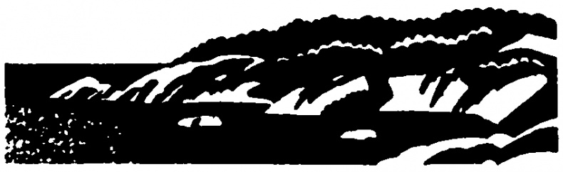 Изобретение велосипеда Изобретение велосипеда