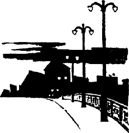 След лисицы След лисицы