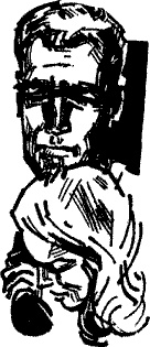 След лисицы След лисицы