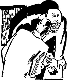 След лисицы След лисицы