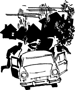 След лисицы След лисицы