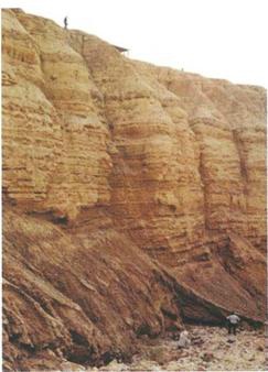 Бумаги Иисуса