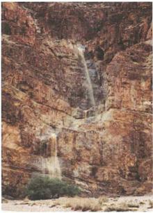 Бумаги Иисуса