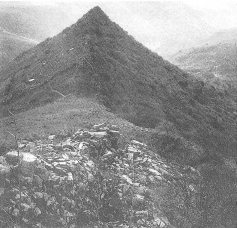 Свитки Мертвого моря