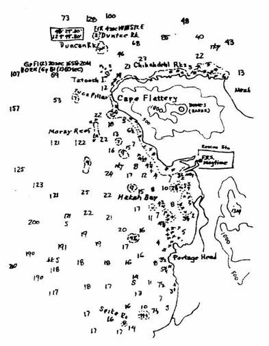 Хорьки-спасатели на море Хорьки-спасатели на море