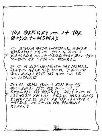 Хорьки-спасатели на море Хорьки-спасатели на море