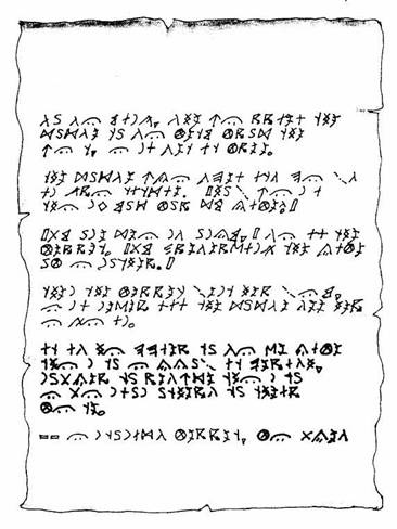 Хорьки-спасатели на море Хорьки-спасатели на море