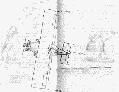 Хроники хорьков. Хорьки в поднебесье Хроники хорьков. Хорьки в поднебесье