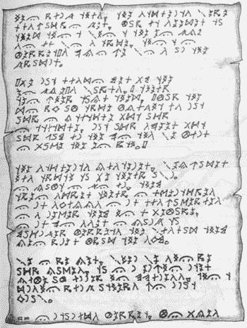 Хроники хорьков. Хорьки в поднебесье Хроники хорьков. Хорьки в поднебесье