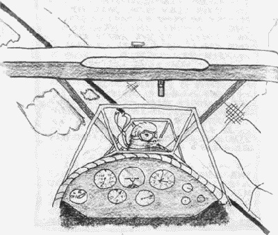 Хроники хорьков. Хорьки в поднебесье Хроники хорьков. Хорьки в поднебесье