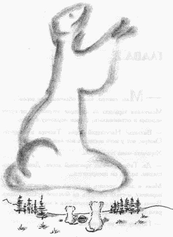 Хроники хорьков. Хорьки в поднебесье Хроники хорьков. Хорьки в поднебесье