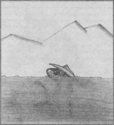 Хроники хорьков. Хорьки-фермеры в горах