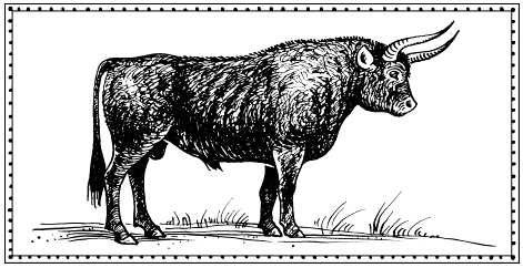 Мы - славяне - Мария Семенова