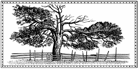 Мы - славяне - Мария Семенова