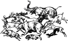 Племянник Чародея - Клайв Стейплз Льюис