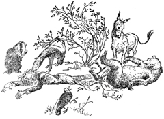 Племянник Чародея - Клайв Стейплз Льюис