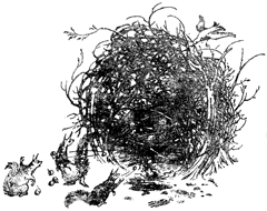 Племянник Чародея - Клайв Стейплз Льюис