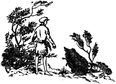 Конь и его мальчик - Клайв Стейплз Льюис