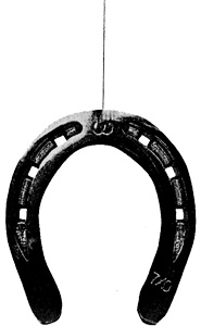 Подмена Подмена