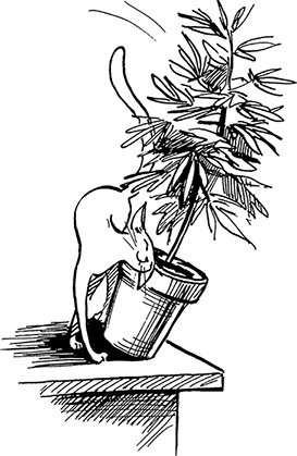 Космопсихолухи. Том 2 Космопсихолухи. Том 2