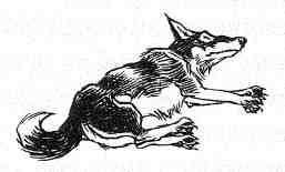 Вильям и волки Вильям и волки