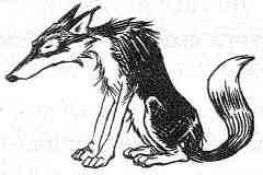 Вильям и волки Вильям и волки