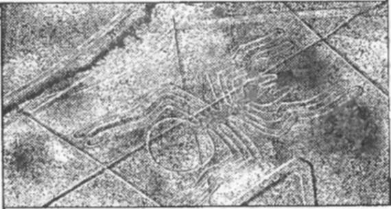 Завещание майя Завещание майя