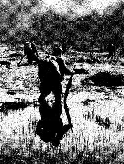 Русские диверсанты против "кукушек" Русские диверсанты против "кукушек"