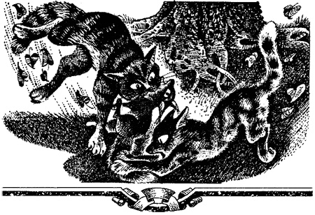 Миссия Огнезвезда. Книга 2. Возрождение Миссия Огнезвезда. Книга 2. Возрождение