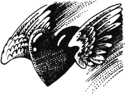 Избранница