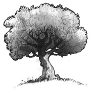 В поисках йети В поисках йети