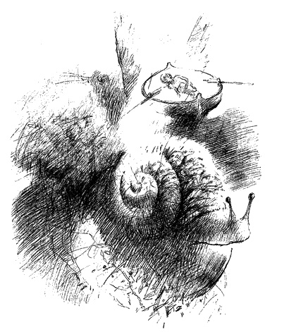 Улитка в тарелке Улитка в тарелке