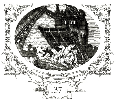 Ночные бродяги Ночные бродяги