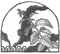 Чисто убийственная магия