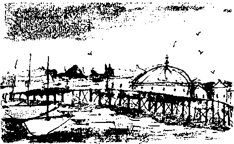 Правдивая история про девочку Эмили и ее хвост Правдивая история про девочку Эмили и ее хвост