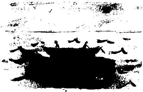 Правдивая история про девочку Эмили и ее хвост Правдивая история про девочку Эмили и ее хвост