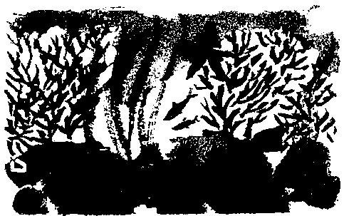 Правдивая история про девочку Эмили и ее хвост Правдивая история про девочку Эмили и ее хвост