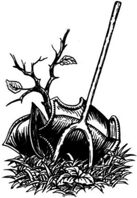 Непобедимая Моди Непобедимая Моди