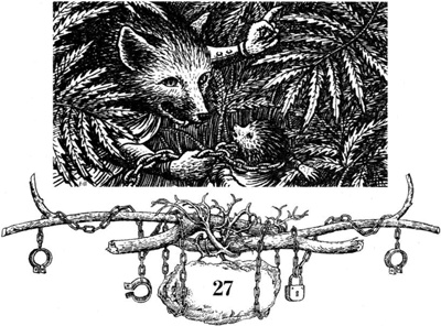 Непобедимая Моди Непобедимая Моди