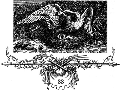 Непобедимая Моди Непобедимая Моди