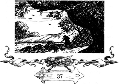 Непобедимая Моди Непобедимая Моди