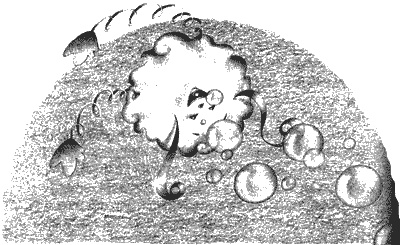 Нина. Девочка Шестой Луны Нина. Девочка Шестой Луны